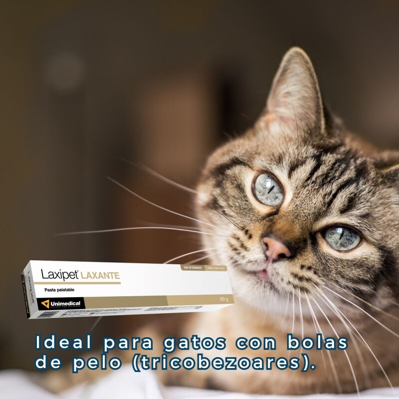 LAXIPET LAXANTE SUAVE PALATABLE PARA PERROS Y GATOS 60 G. LAXIPET LAXANTE SUAVE PALATABLE PARA PERROS Y GATOS 60 G.
