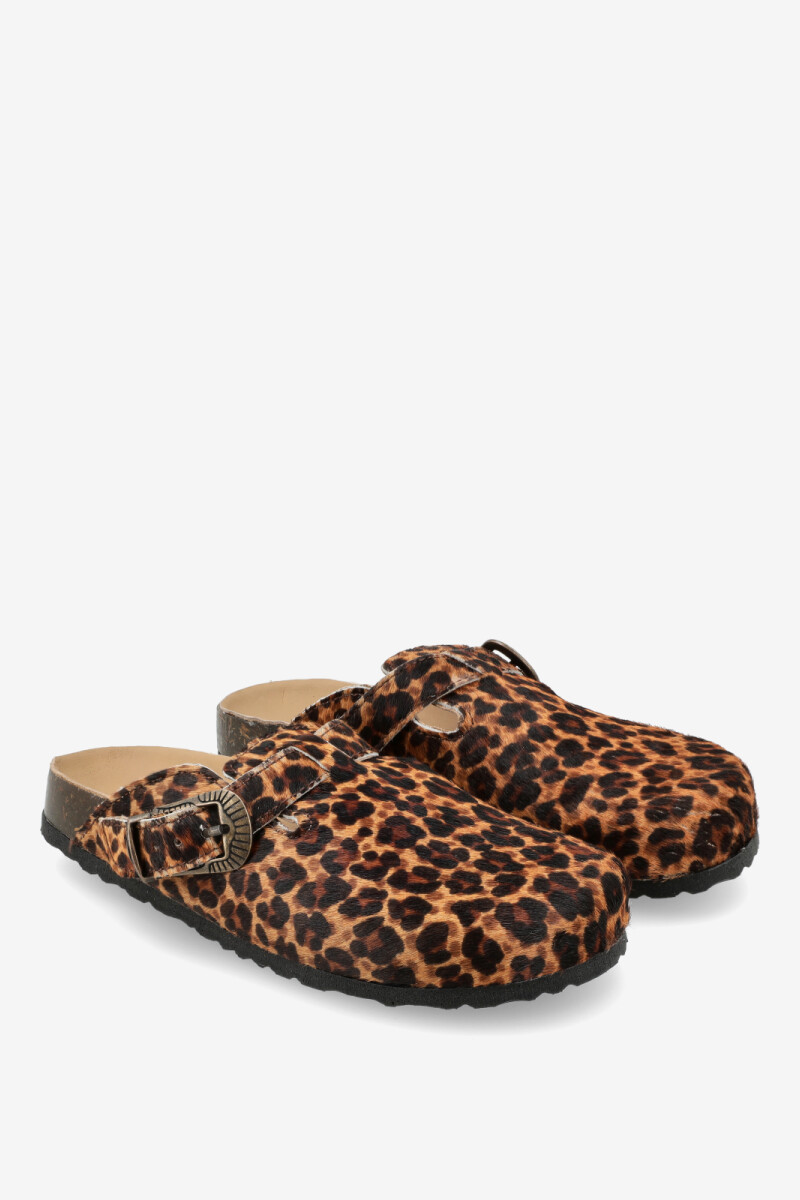 CLOG CORAL Leopardo