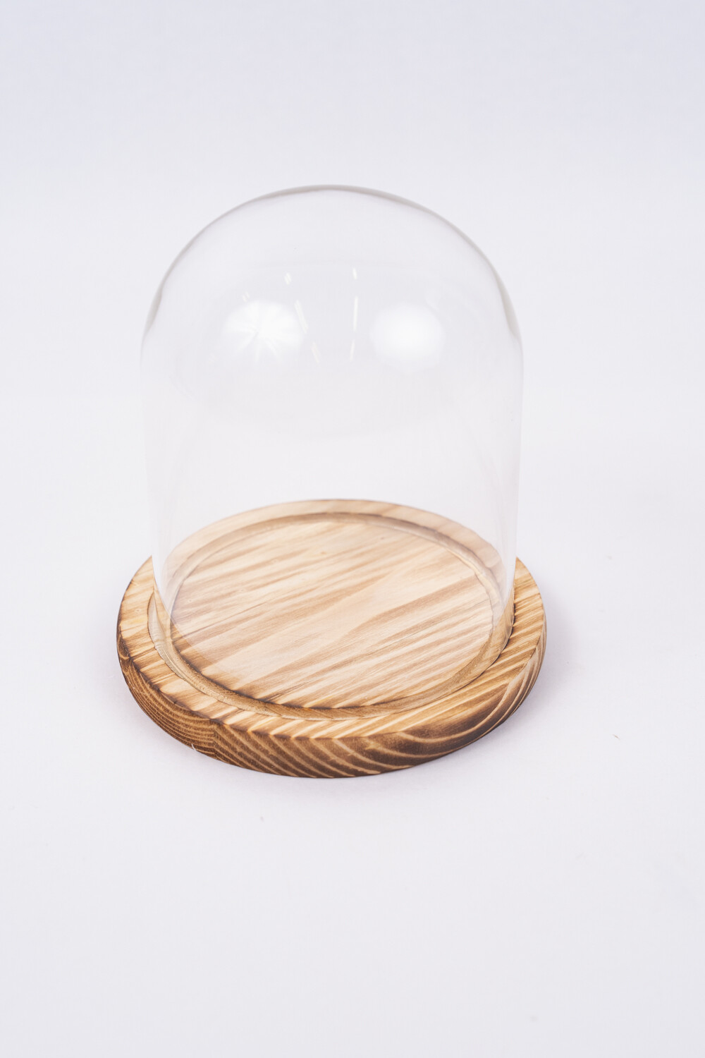 Terrario Ser Color Unico