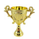 Trofeo de Plastico Trofeo de Plastico