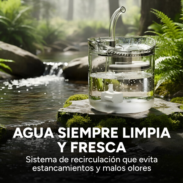 Fuente De Agua Bebedero Para Mascotas 2 Litros Recirculación Variante Transparente