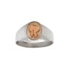Anillo Profesión Odontólogo-Plata y Oro-Sin Piedra-AP5005 - Adulto - Sinpiedra