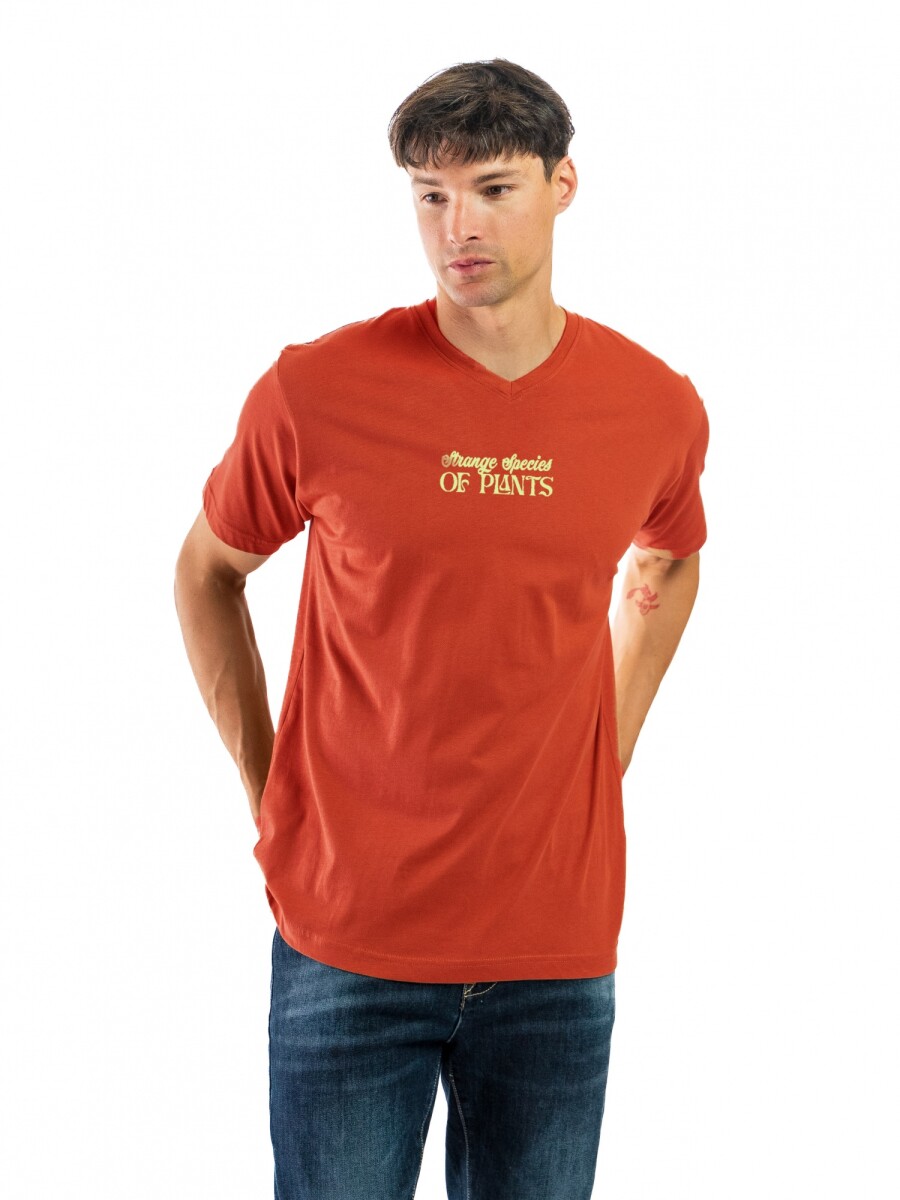 Remera Estampada C/V BGDH REVB-21 - Coral/ Diseño 119 