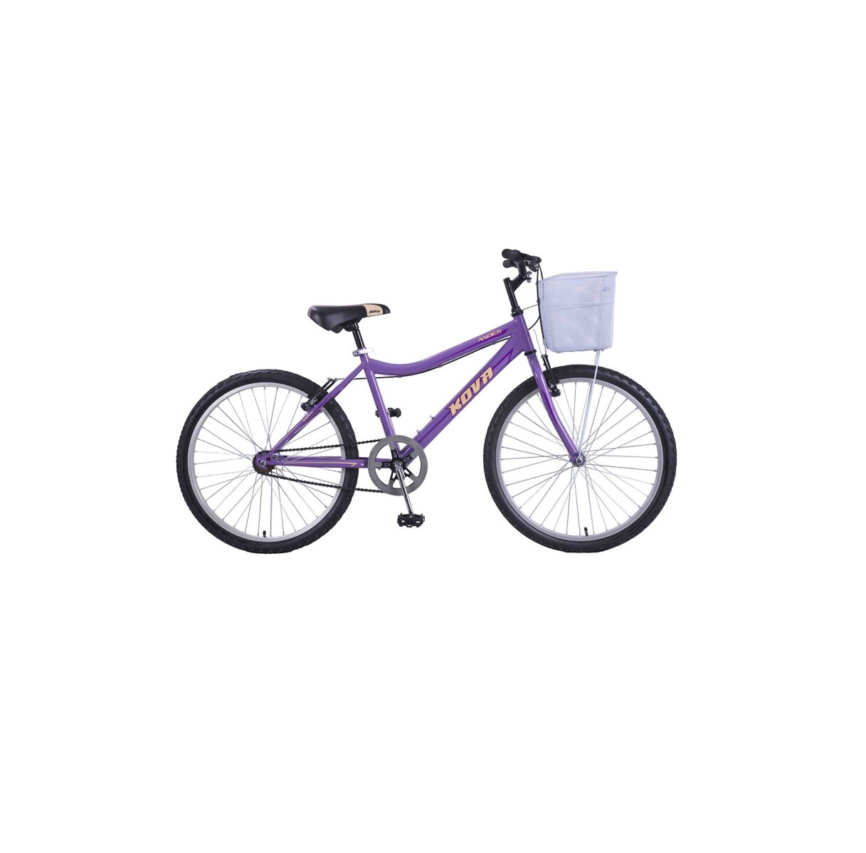 Bicicleta Andes Dama Rodado 24 - Violeta 