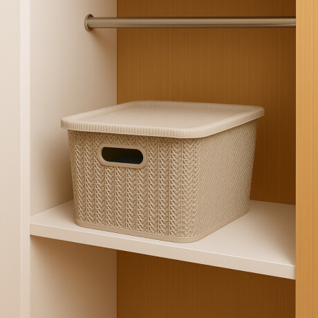 Caja organizadora símil ratán 20lt CAPPUCCINO