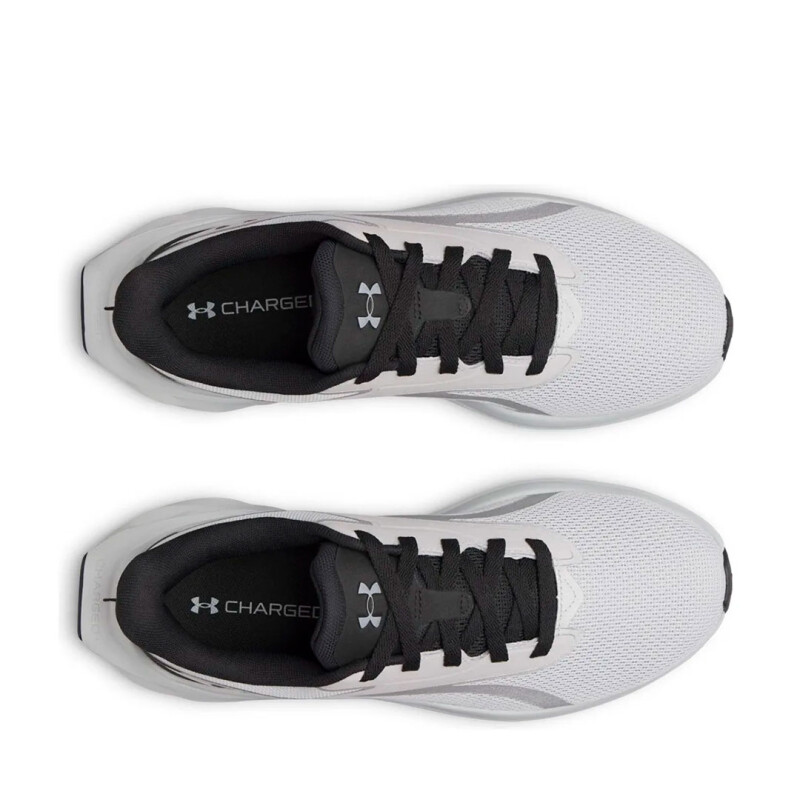 Championes de Hombre UNDER ARMOUR Ascend Gris