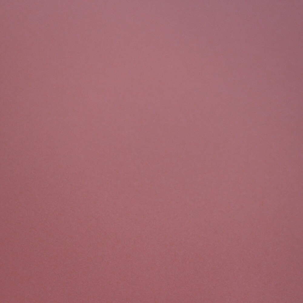 CARTULINA ESPAÑOLA COLOR 50X65 CM COLOR FIDJI