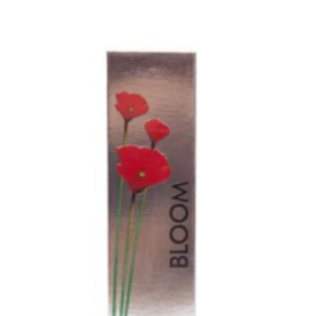 PERFUME IN STYLE WOMEN (01) BLOOM 100ML PERFUME IN STYLE WOMEN (01) BLOOM 100ML