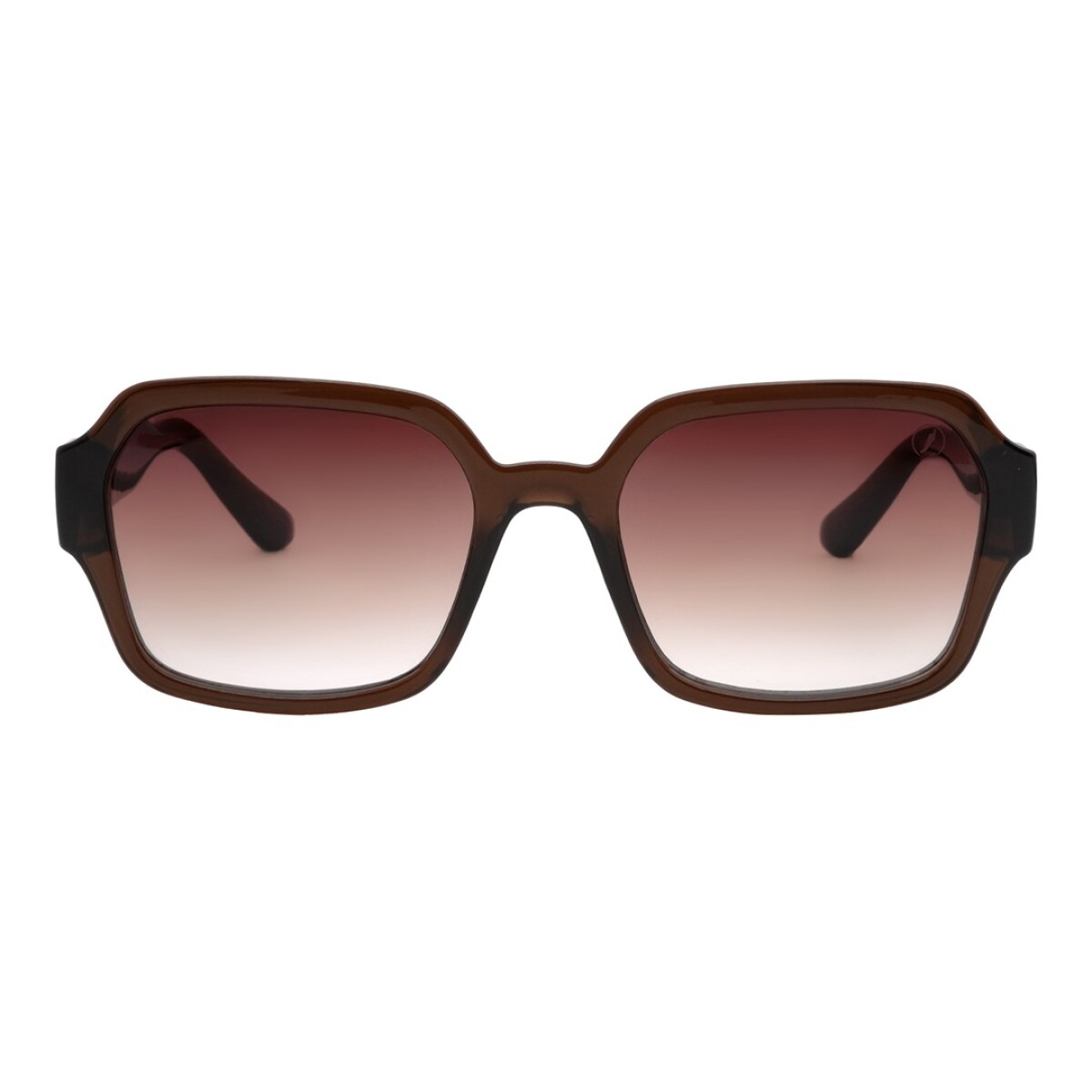 Lentes de Sol Chilli Beans Mauritania - Marrón 