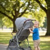 Patineta para coche hermanos KIKKABOO clásica Patineta para coche hermanos KIKKABOO clásica