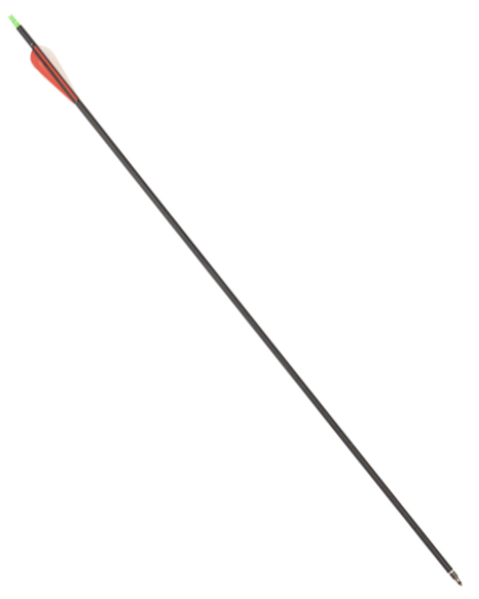 Flecha de Carbono y Fibra de Vidrio Arye 
