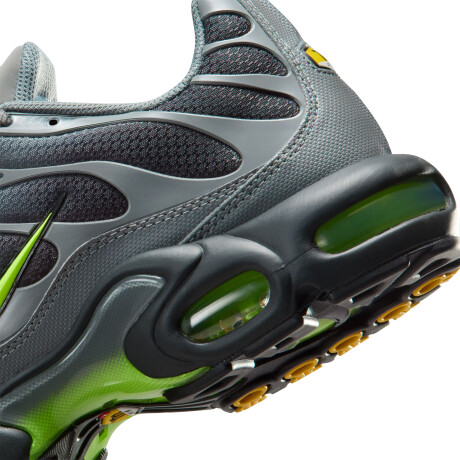 Championes Nike Air Max Plus Black