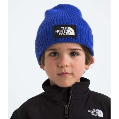 Gorro Kids Tnf Logo Box Cuffed Beanie Tnf Blue
