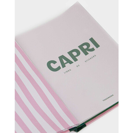 Libro De Stickers Journaling Rosa Claro