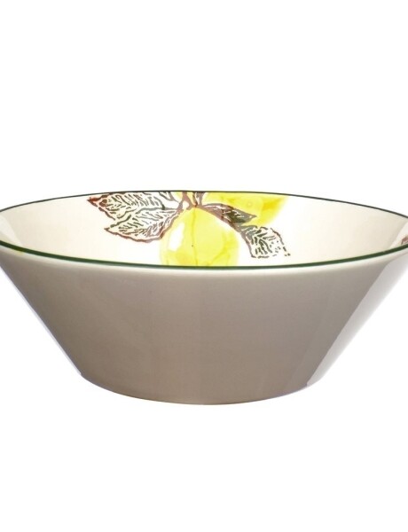 BOWL CERAMICA 23.5x7CM LIMONES BOWL CERAMICA 23.5x7CM LIMONES