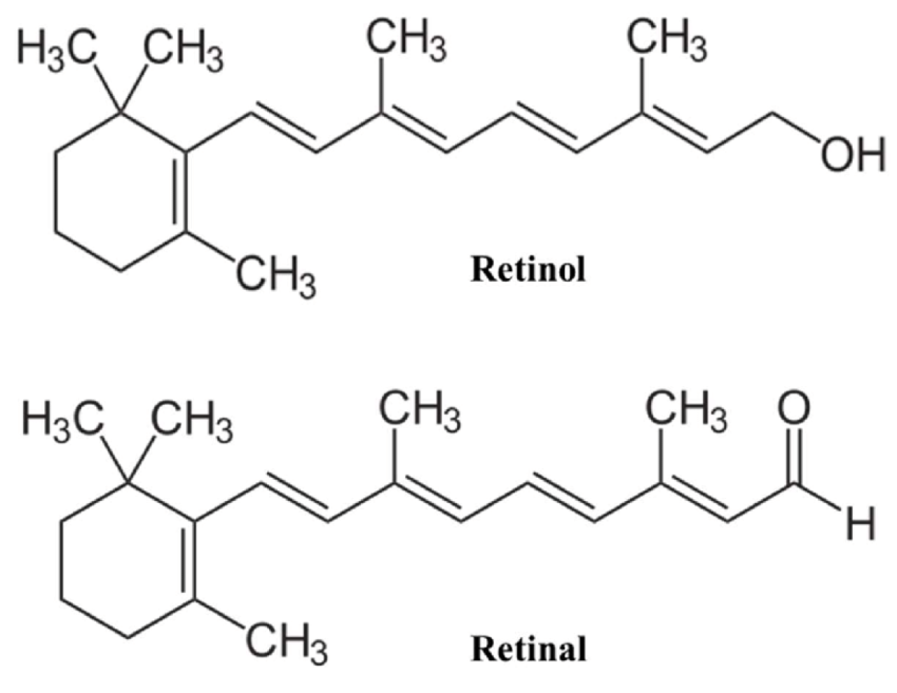 figura-3-estructura-quimica-de-l.png