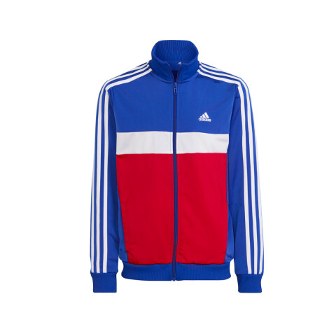 CONJUNTO adidas ESSENTIALS TIBERIO Semi Lucid Blue / Better Scarlet / White