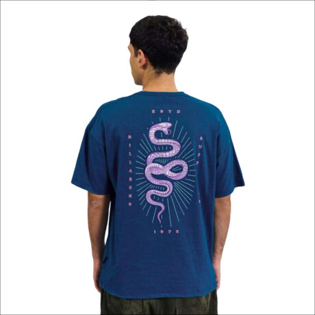 Remera Billabong Serpiente Over Azul