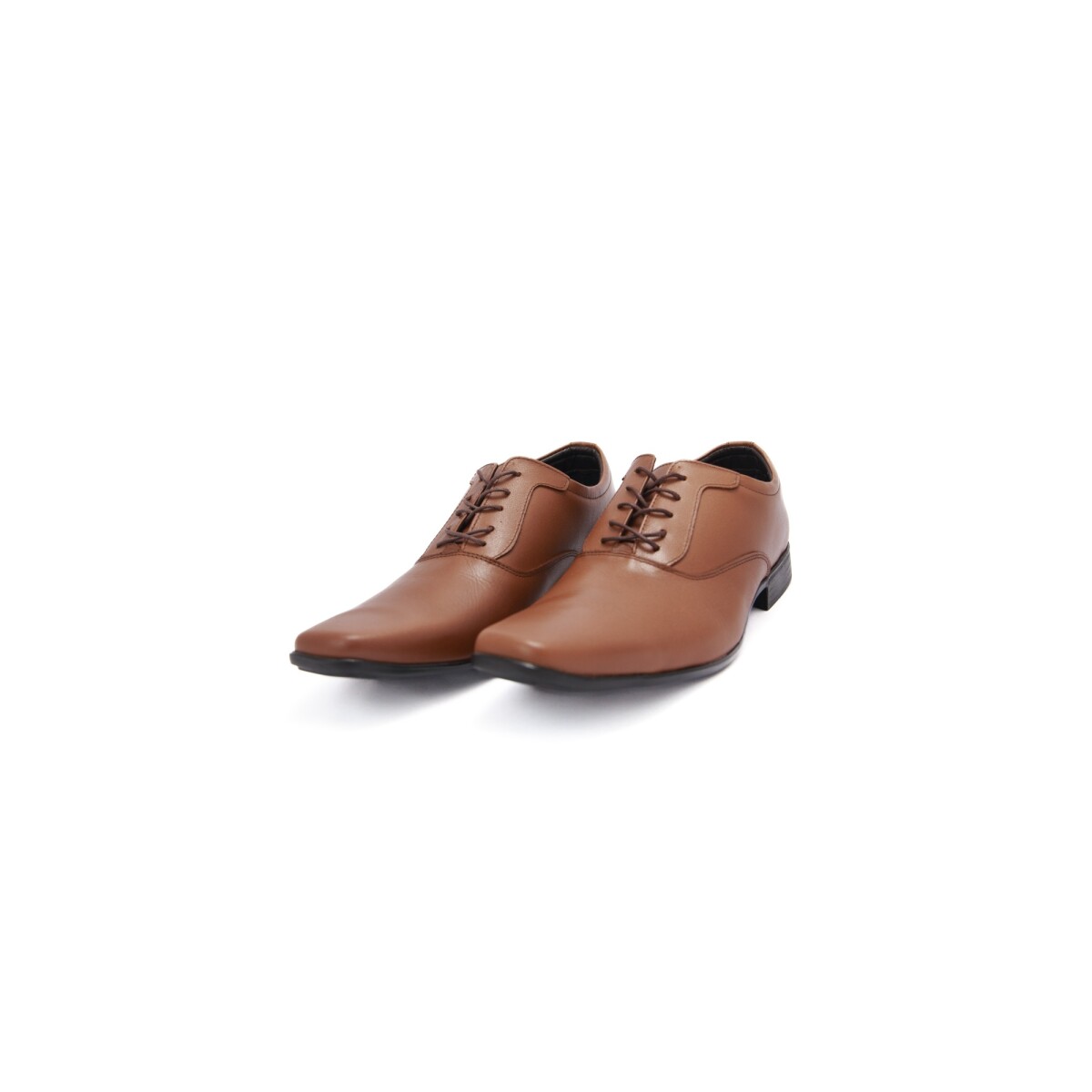 Zapatos Florenzi 3682H - MARRÓN 