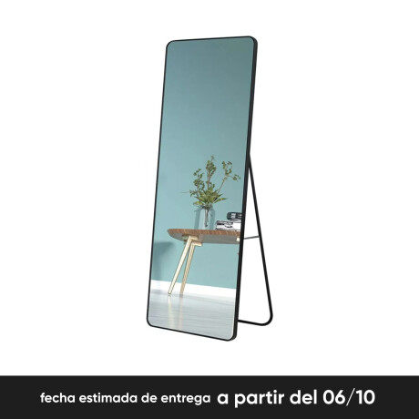 Espejo de pie rectangular 160x50 cm Sc