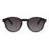 Lentes de Sol Chilli Beans Kuwait Animal Print Matte