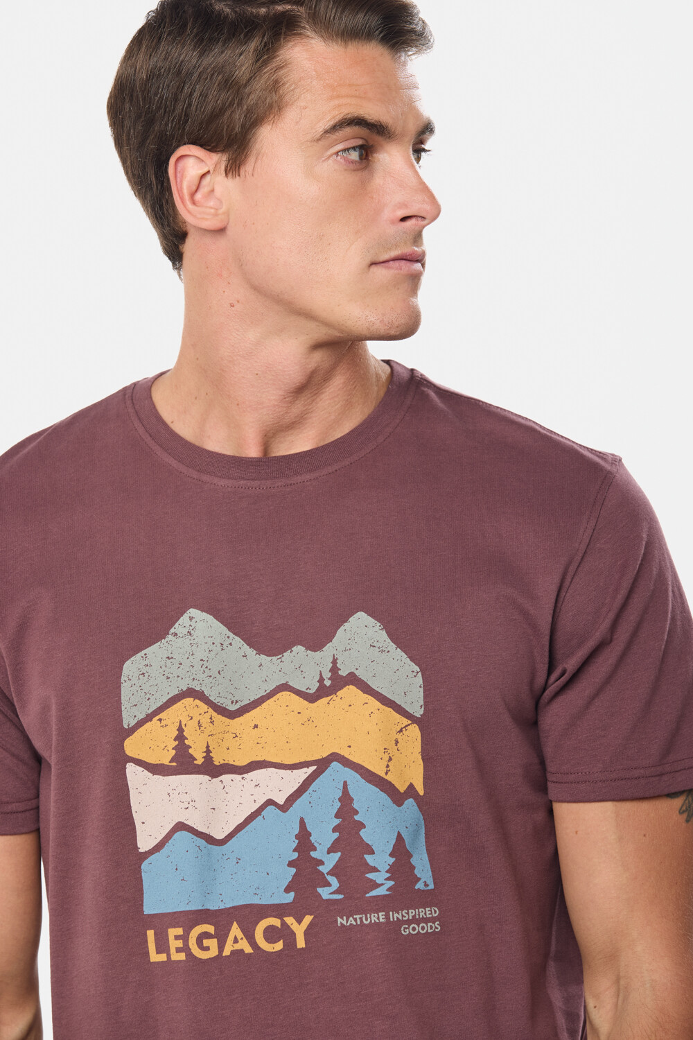 REMERA ESTAMPADA Bordo