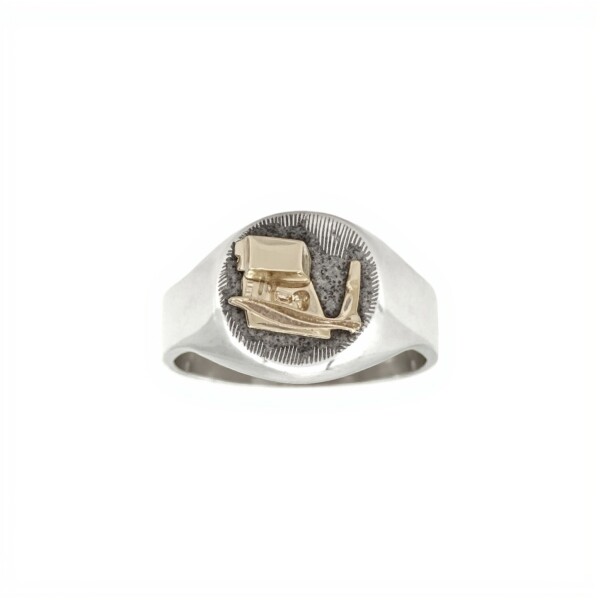 Anillo Profesión Magisterio - Plata y Oro-Sin Piedra-AP5057 sinpiedra