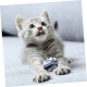 Juguete gato ovillo lana Juguete gato ovillo lana