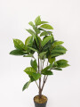 Planta Ficus Lyrata 95cm Color Unico