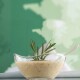 Set x6 bowl de vidrio 310ml TRANSPARENTE