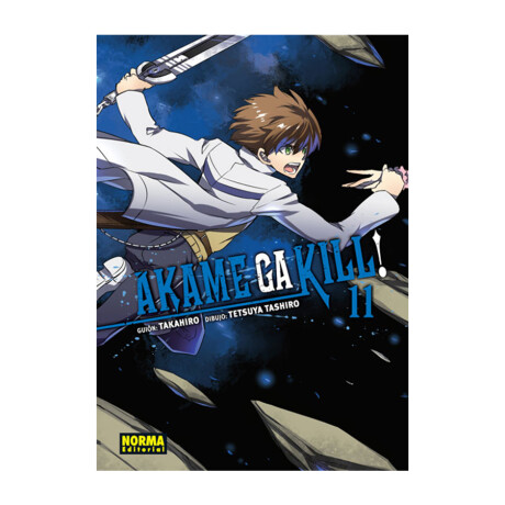Akame ga Kill! - Tomo 11 Akame ga Kill! - Tomo 11