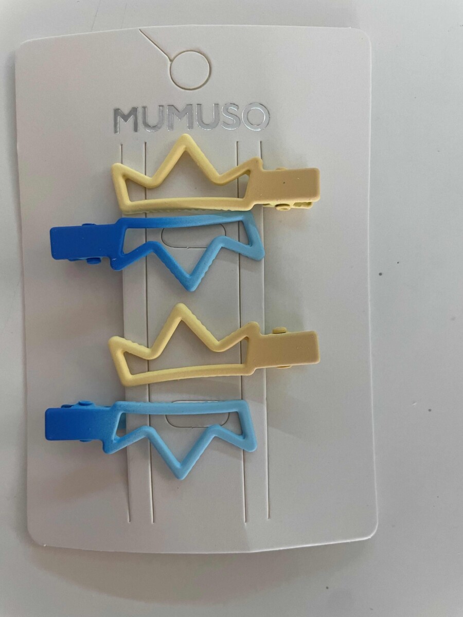PASADOR PARA CABELLO MULTICOLOR 