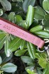 Colorful Key Chain Camel / Terracota