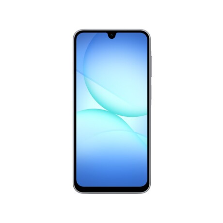 Samsung Galaxy A17 LTE 256GB Gray