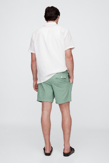 Traje De Baño Hombre Green Stripe