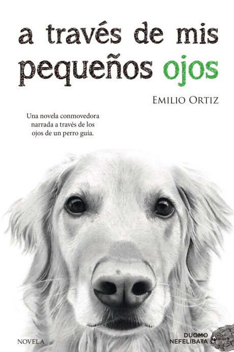 A TRAVES DE MIS PEQUEÑOS OJOS A TRAVES DE MIS PEQUEÑOS OJOS