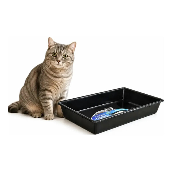 Bandeja Sanitaria Para Gato Bandeja Sanitaria Para Gato