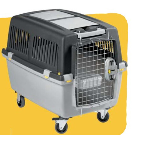 TRANSPORTADOR GULLIVER 4 S/RUOTE IATA TRANSPORTADOR GULLIVER 4 S/RUOTE IATA