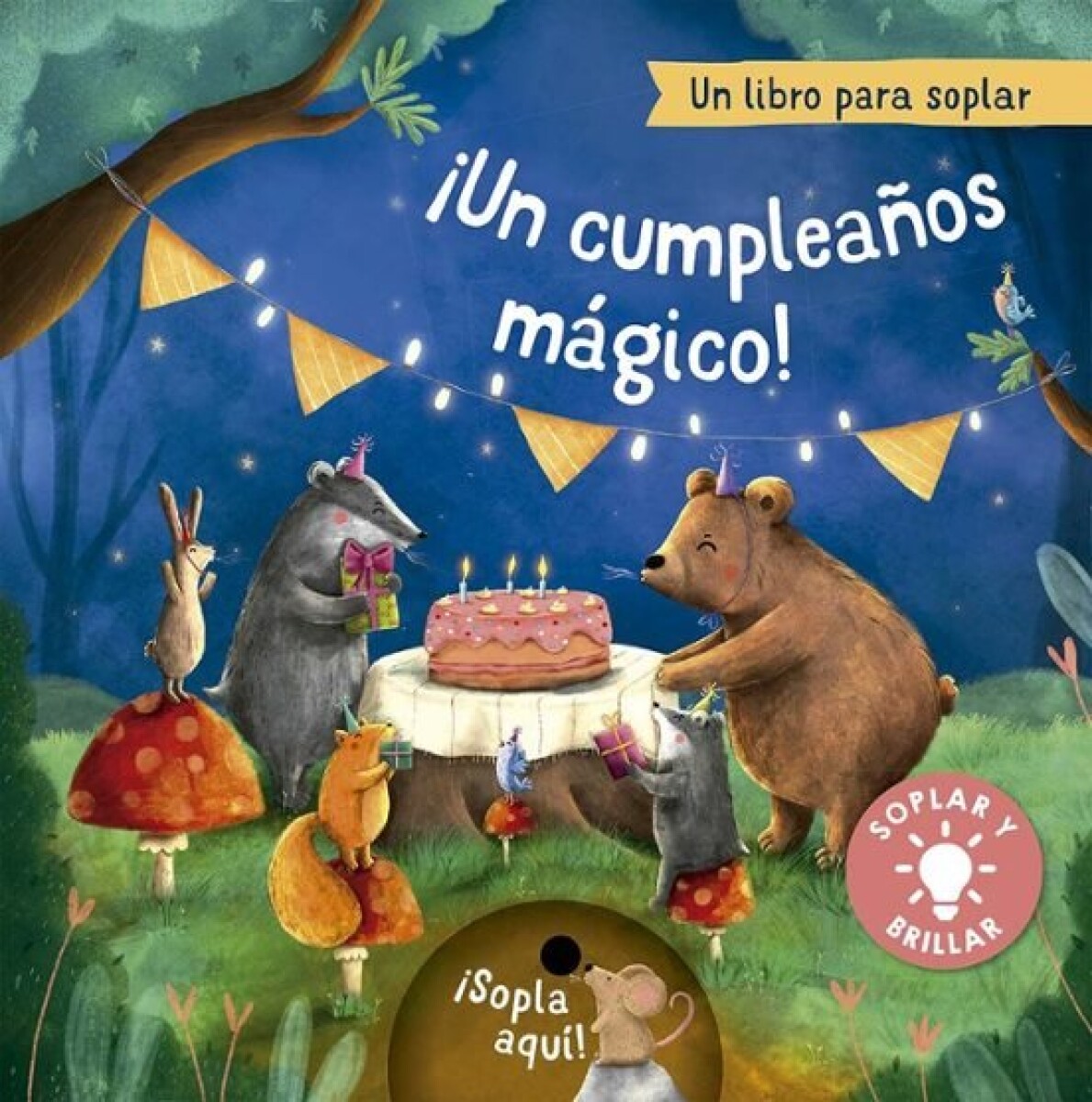 UN CUMPLEAÑOS MAGICO 