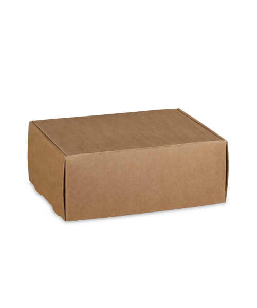 CAJA ENVIO 40,5X32X5 cm AVANA