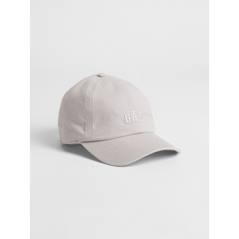 V-LOGO BASEBALL HAT FOG