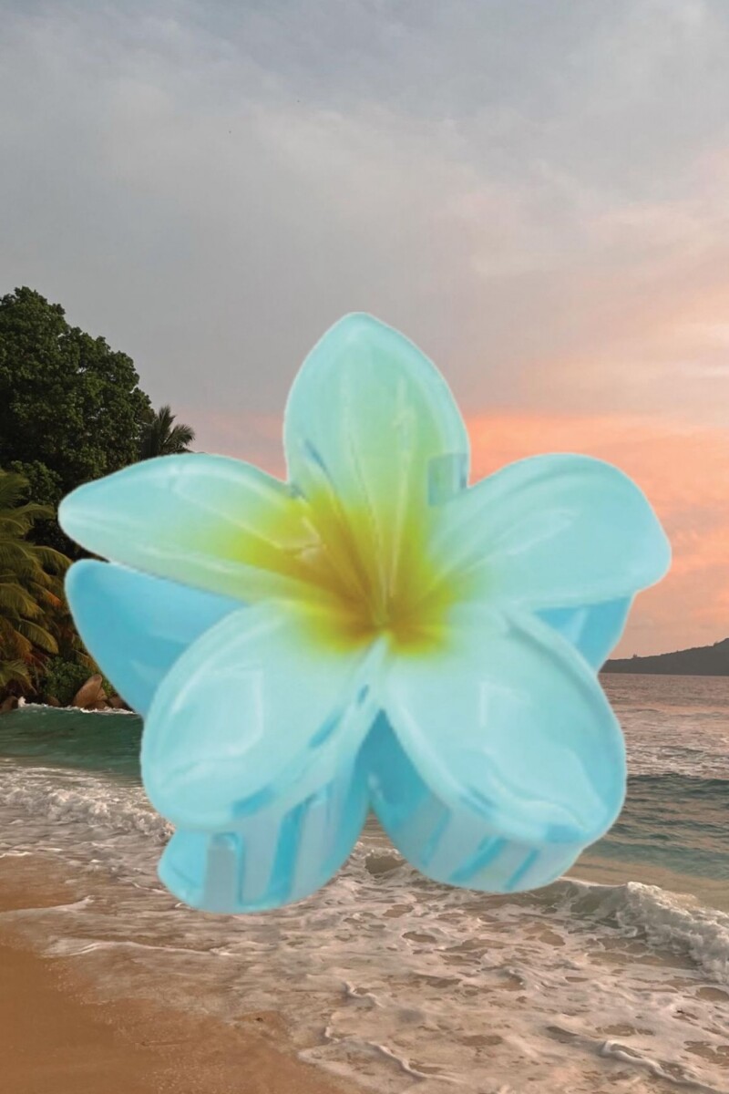 Broche de Pelo Hibisco / Celeste Broche De Pelo Hibisco / Celeste