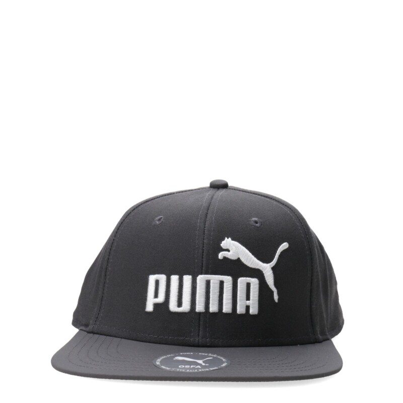 Gorro Puma Logo Flat Brim Gris