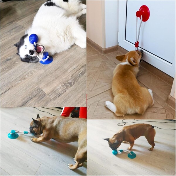 Juguete Perro Limpia Dientes Ventosa Con Cuerda Pelota Color Variante Azul