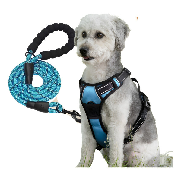 PECHERA ANTI TIRONES PARA PERRO PRETAL ANTITIRO ARNES CORREA 1.2M PECHERA ANTI TIRONES PARA PERRO PRETAL ANTITIRO ARNES CORREA 1.2M