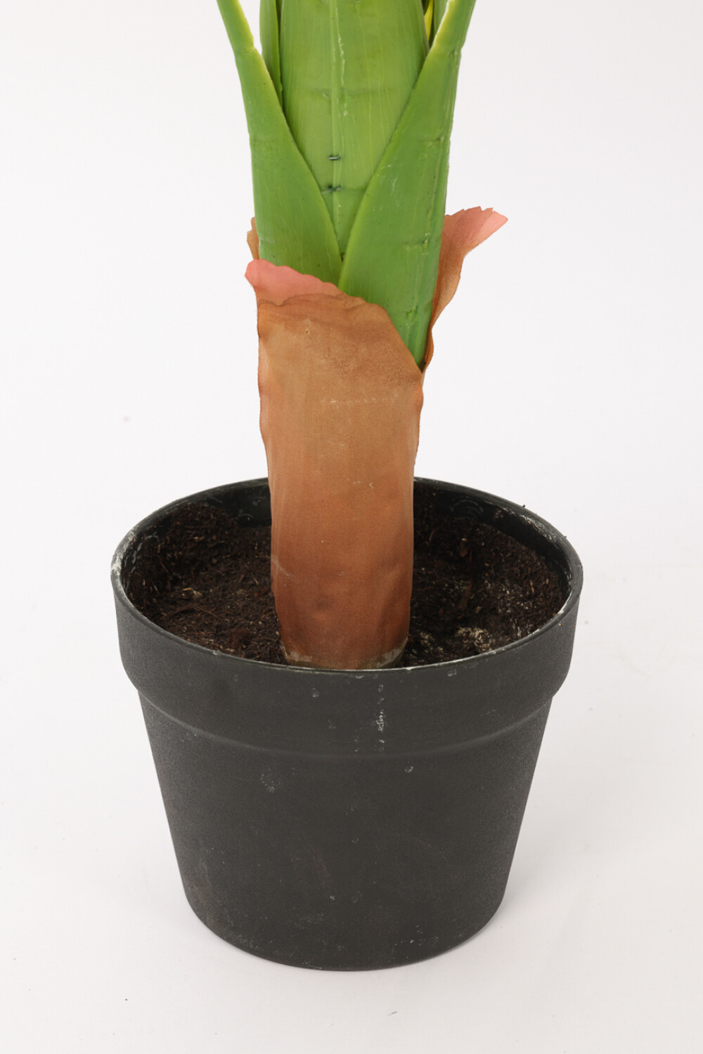 Planta Galatea 100cm Color Unico