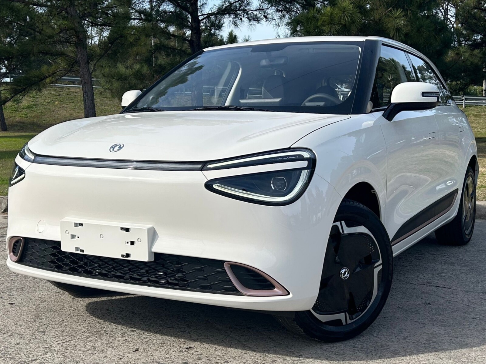 Dongfeng Nammi 330 Eléctrico Extra Full 2026 0KM 