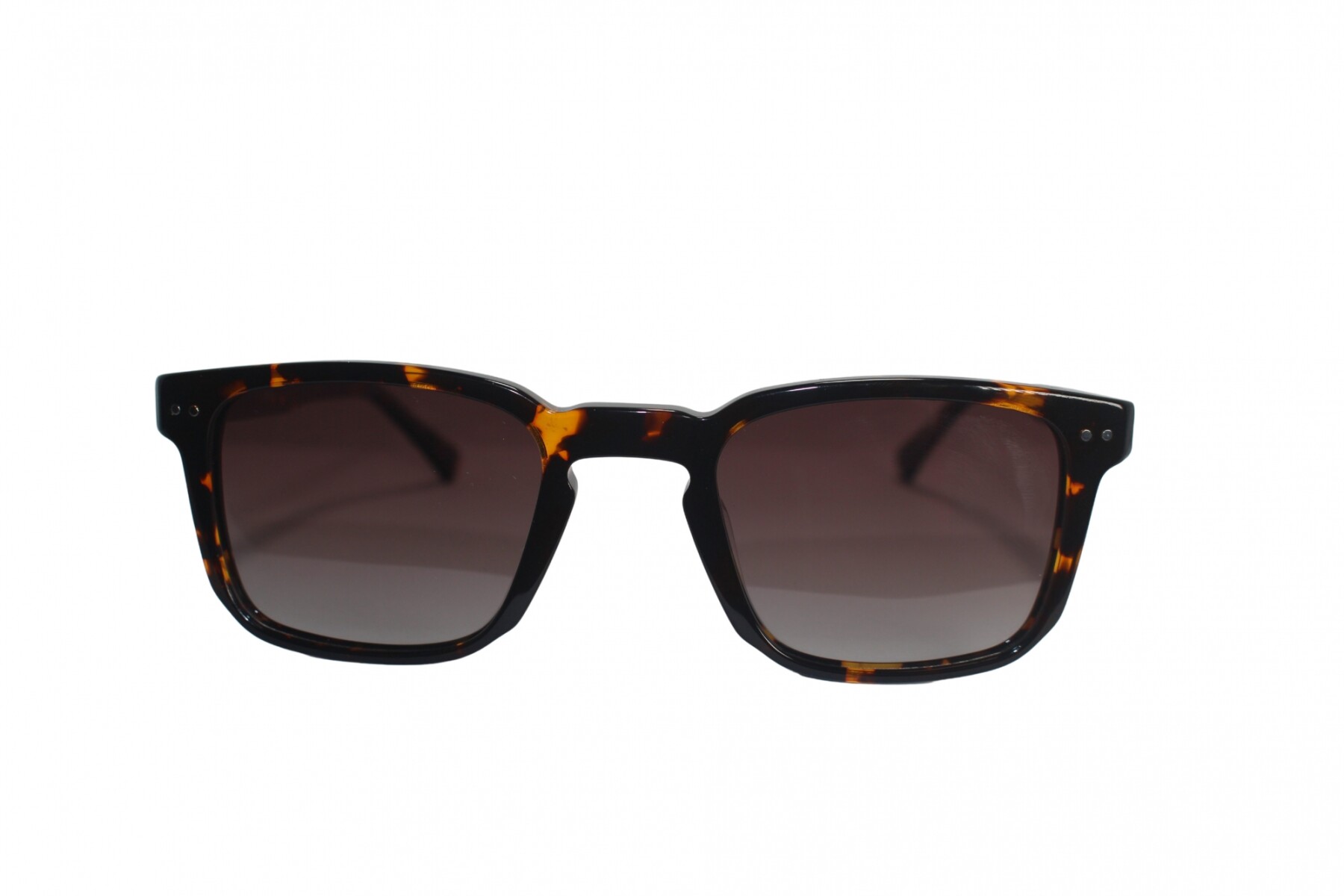 6094 Sol - Carey+Marron 