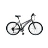 Bicicleta ALPINA LADY - Rodado 26 - Baccio Gris