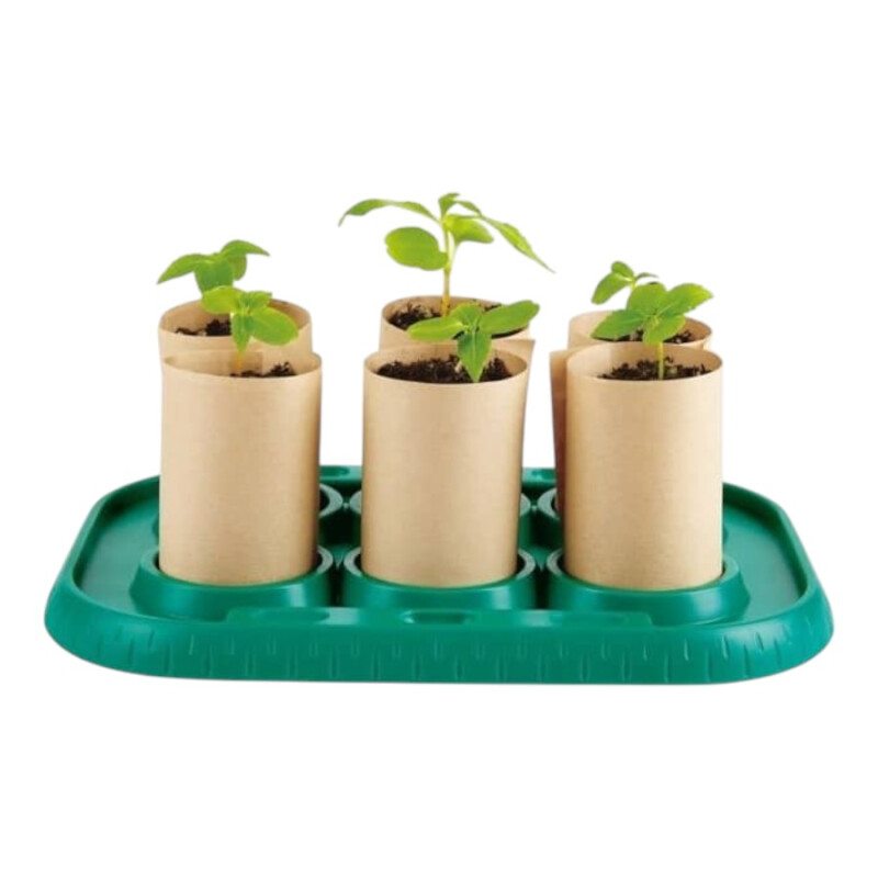 Invernadero de Cultivo Infantil Bamboo Invernadero de Cultivo Infantil Bamboo